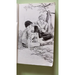 Les aventures d'Huckleberry Finn