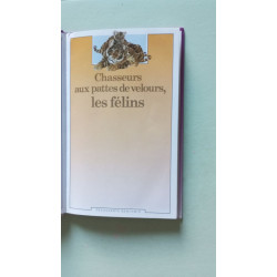 Chasseurs aux pattes de velours les félins